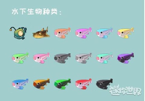 迷你世界鱼吃什么繁殖