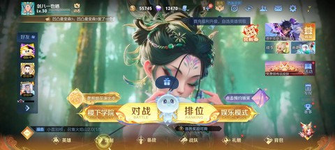 王者荣耀怎么设置不让别人看战绩