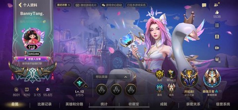 英雄联盟游戏助手叫什么