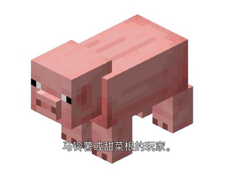 我的世界怎么做彩虹猪[图2]