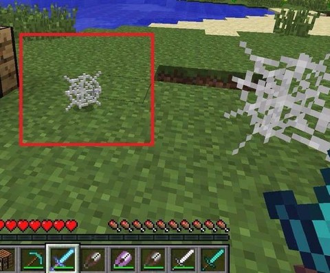 我的世界蜘蛛丝怎么得[图2]