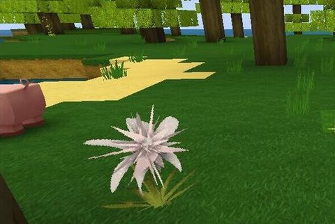 迷你世界龙爪草怎么采