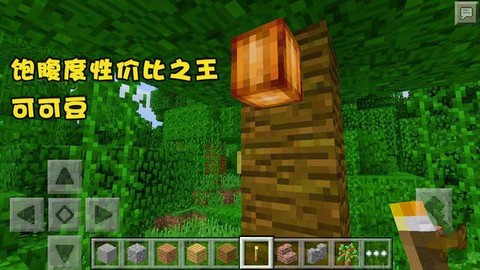 迷你世界怎么得可可豆