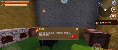 迷你世界野果怎么得[图2]