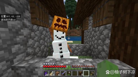 我的世界怎么造雪傀儡[图2]