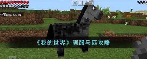 我的世界怎么驯养马[图1]