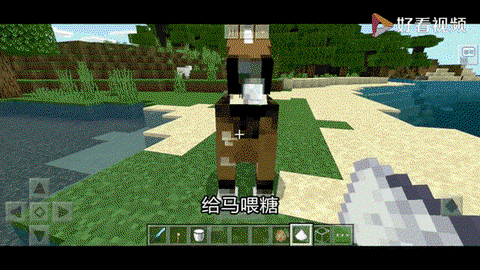 我的世界怎么驯养马[图2]