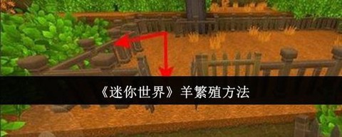 迷你世界的羊怎么获得[图2]